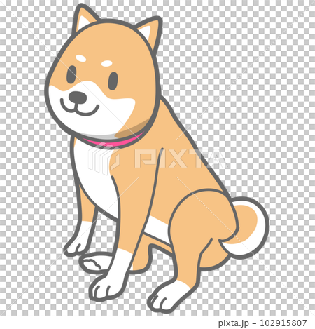 お座りする柴犬のベクターイラスト 102915807