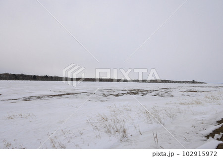 北海道の野付半島　凍る 102915972