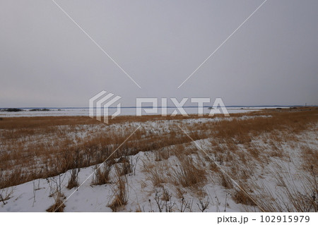 北海道の野付半島 凍る 北海道の野付半島 凍る 102915979