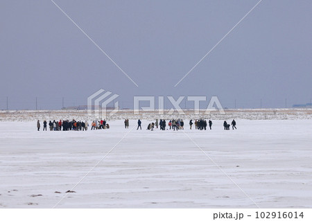北海道を訪れる外個人　団体　野付半島 102916014