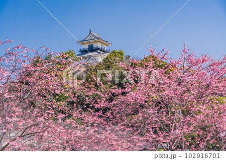（静岡県）掛川桜が咲いた掛川城・天守閣 102916701