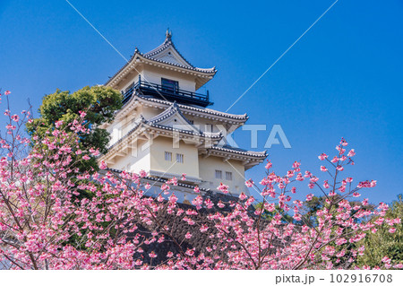 （静岡県）掛川桜が咲いた掛川城・天守閣 102916708