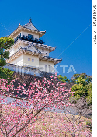 (静岡県)掛川桜が咲いた掛川城・天守閣 (静岡県)掛川桜が咲いた掛川城・天守閣 102916709