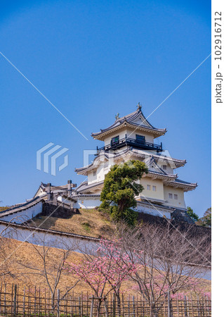 (静岡県)掛川桜が咲いた掛川城・天守閣 (静岡県)掛川桜が咲いた掛川城・天守閣 102916712