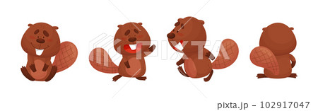Cute Beaver Character Engaged in Different Activity Vector Set 102917047