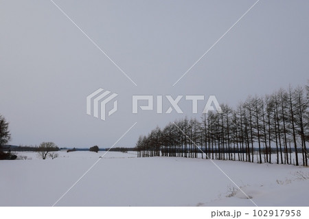 北海道の冬景色 北海道の冬景色 102917958