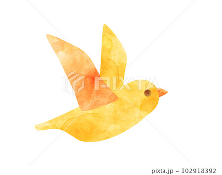 飛んでいる鳥のイラスト　水彩加工風 102918392