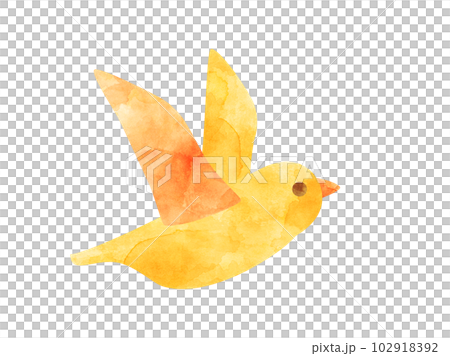 飛んでいる鳥のイラスト　水彩加工風 102918392