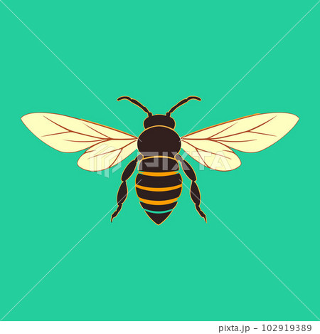 vector bee from top blackのイラスト素材 [102919389] - PIXTA