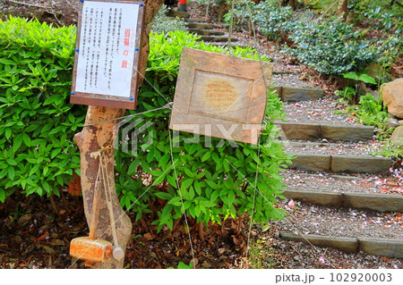日本最古の神社 壱岐 月読神社 日本最古の神社 壱岐 月読神社 102920003