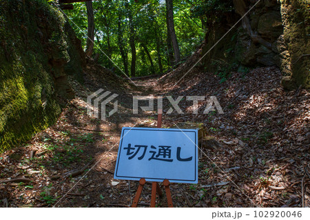小倉城跡 切通し 郭3付近 ときがわ町 小倉城跡 切通し 郭3付近 ときがわ町 102920046