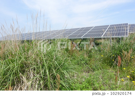 雑草に囲まれた太陽光発電所 雑草に囲まれた太陽光発電所 102920174