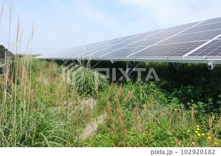 雑草に囲まれた太陽光発電所 102920182
