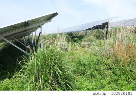 雑草に囲まれた太陽光発電所 102920183