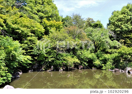 水面に映る癒しの新緑　風情ある風景　みかもやま 102920296
