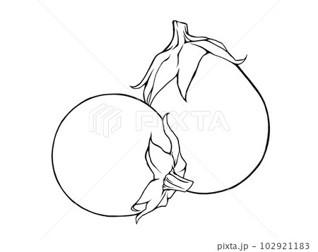 重なる二つの丸ナスのシンプルな線画イラスト 重なる二つの丸ナスのシンプルな線画イラスト 102921183