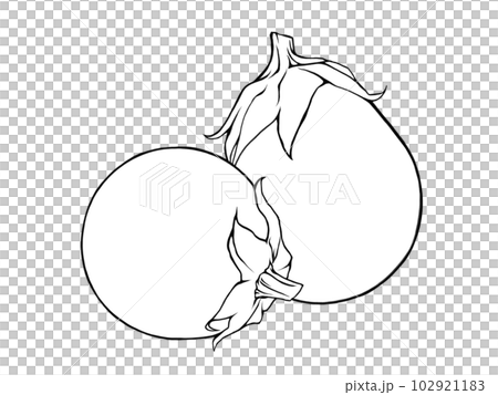 Simple line drawing illustration of two overlapping round eggplants Simple line drawing illustration of two overlapping round eggplants 102921183