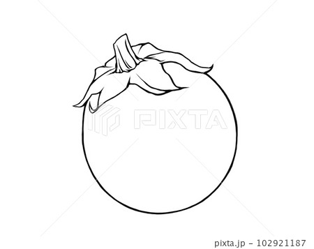 シンプルでまん丸な丸ナスの線画イラスト シンプルでまん丸な丸ナスの線画イラスト 102921187