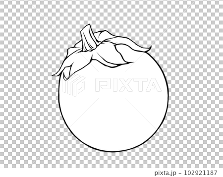 シンプルでまん丸な丸ナスの線画イラスト シンプルでまん丸な丸ナスの線画イラスト 102921187