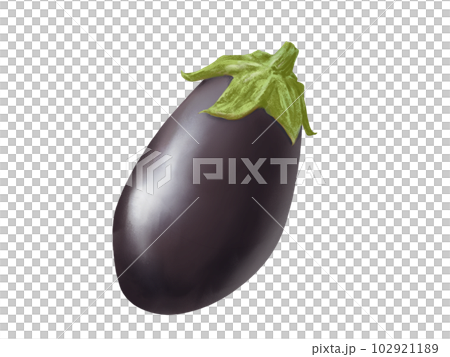 Realistic and beautiful rice eggplant watercolor illustration 102921189