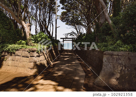 酒列磯前神社 102921358