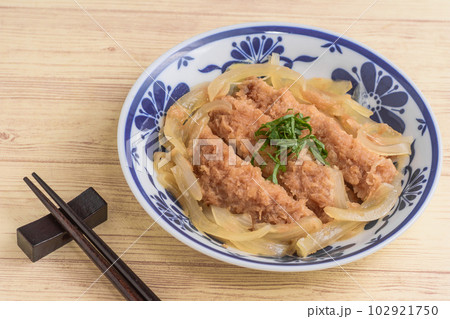 豚肉のカツ煮 豚肉のカツ煮 102921750