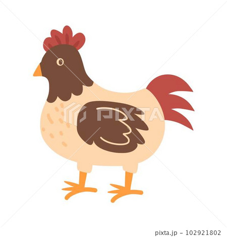 cute domestic farm birds 102921802