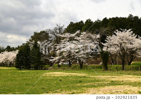 春の小岩井農場 春の小岩井農場 102921835