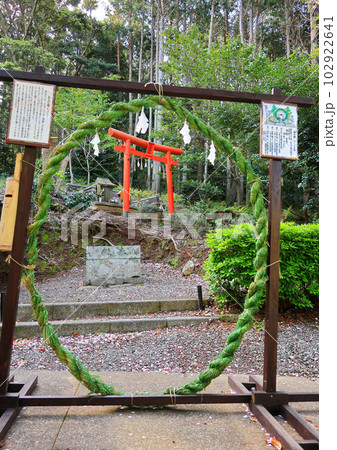 日本最古の神社　壱岐　月読神社 102922641