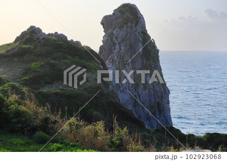 夕暮れ　そっぽを向いた猿岩 102923068