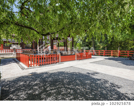建勲神社（京都市北区）拝殿 102925878