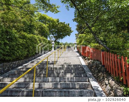 建勲神社(京都市北区)本殿への参道 建勲神社(京都市北区)本殿への参道 102926040