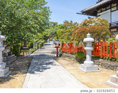 建勲神社(京都市北区)本殿への参道 建勲神社(京都市北区)本殿への参道 102926051
