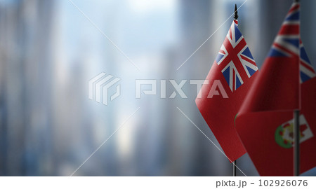 Small flags of the Bermuda on an abstract blurry background Small flags of the Bermuda on an abstract blurry background 102926076