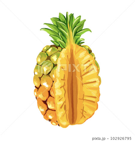 pineapple pineapple 102926795