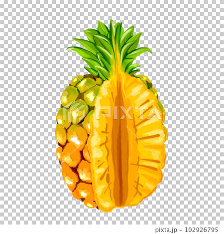 pineapple pineapple 102926795
