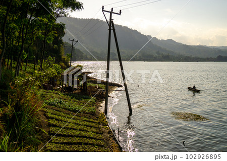 バトゥール湖に浸かる電信柱の風景 バトゥール湖に浸かる電信柱の風景 102926895