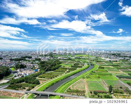 「埼玉県」ドローンで撮影した夏空のと沼田んぼの風景 102926961