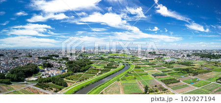 「埼玉県」ドローンで撮影した夏空のと沼田んぼの風景 102927194