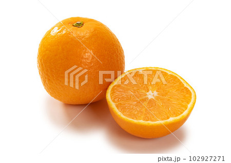 ジューシーな柑橘類、清見オレンジ 102927271