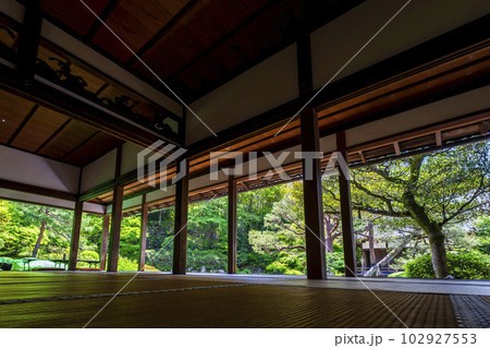 初夏の青蓮院門跡　華頂殿から見た新緑の相阿弥の庭　京都府京都市 102927553