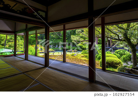 初夏の青蓮院門跡　華頂殿から見た新緑の相阿弥の庭　京都府京都市 102927554
