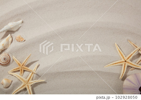 Starfishes and seashells decorated on beach sand background. Copy space, blank space. Template for mockup your design, banner, poster Starfishes and seashells decorated on beach sand background. Copy space, blank space. Template for mockup your design, banner, poster 102928050