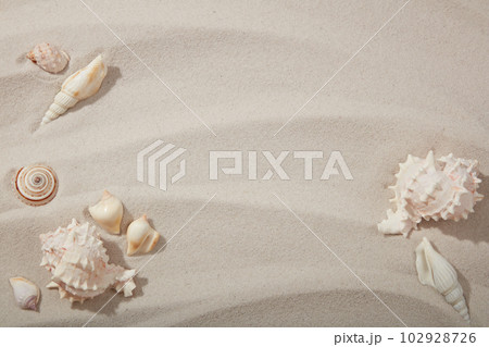 Natural background with different seashells on sandy beach. Background of sand texture with blank space for copy or cosmetic product presentation. 102928726