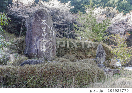 満開の桜と木曽田立の滝石碑 満開の桜と木曽田立の滝石碑 102928779
