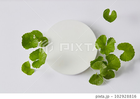 A white podium in round shape with vacant space and several Gotu kola leaves displayed around. Beauty product promotion extracted from Gotu kola (Centella asiatica) 102928816