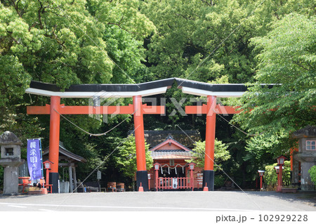 川南 諏訪神社 川南 諏訪神社 102929228