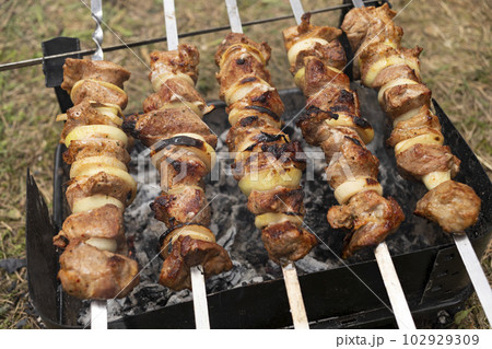 Close Up Cooking Meat Barbecue On The Coal In Camping Park, Forest. Meat , Onion Rings Strung On Skewers. No Waste Healthy Eating Picnic In Summer, Spring Time. Horizontal Plane. Close Up Cooking Meat Barbecue On The Coal In Camping Park, Forest. Meat , Onion Rings Strung On Skewers. No Waste Healthy Eating Picnic In Summer, Spring Time. Horizontal Plane. 102929309