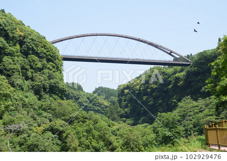雄川の瀧見大橋 雄川の瀧見大橋 102929476