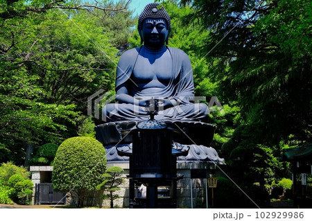板橋区赤塚　東京大仏 102929986